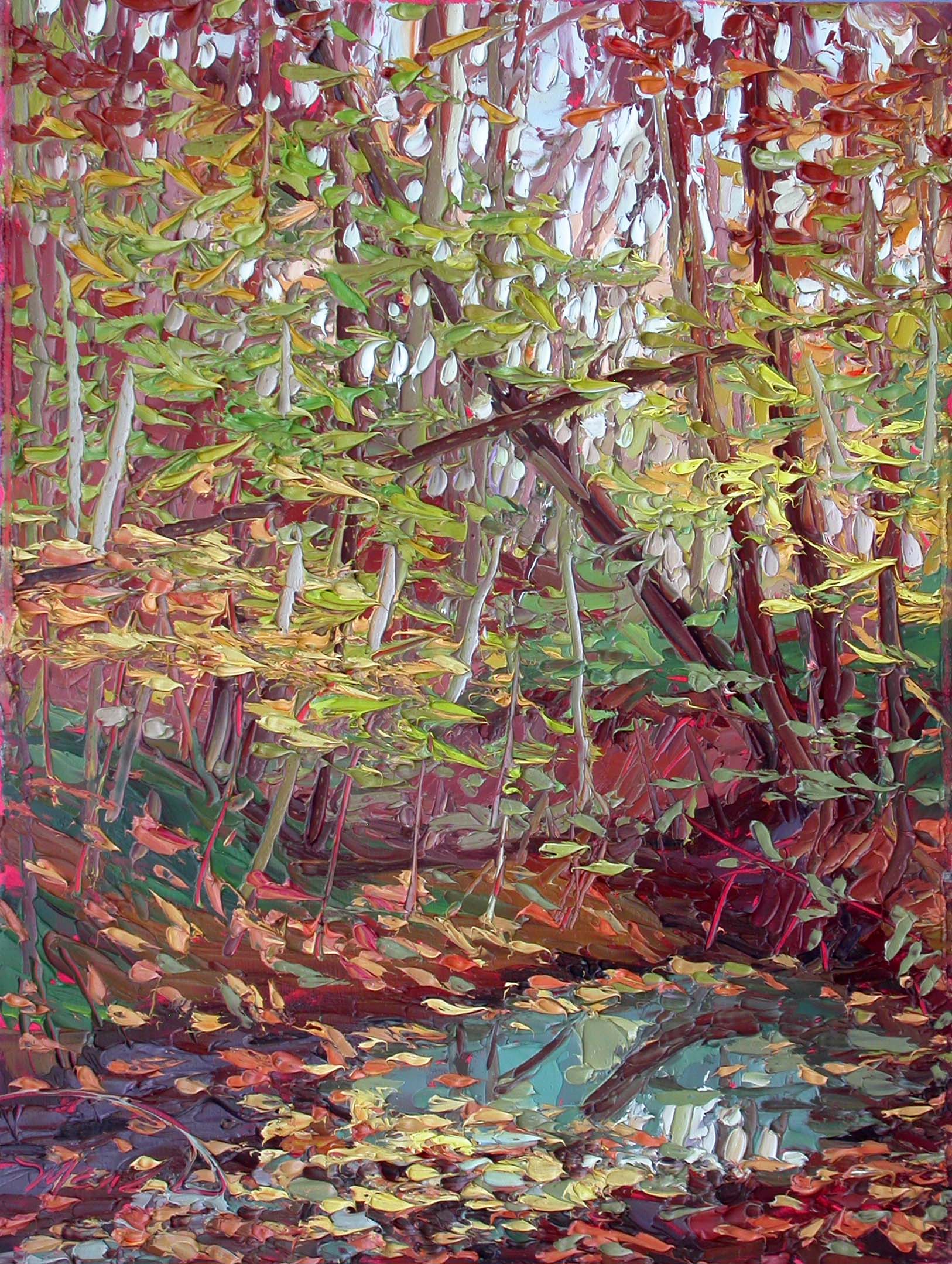 Turquoise Creek, October 24, 2016, 16" x 12" plein air oil painting done on location in Yellowwood State Forest, by Charlene Marsh.