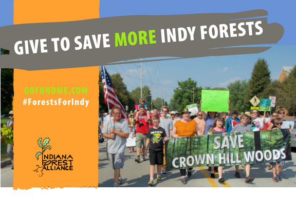Forests for Indy Campaign.