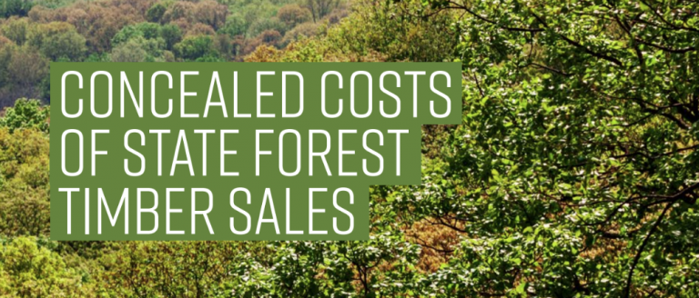 The concealed costs of state forest timber sales.