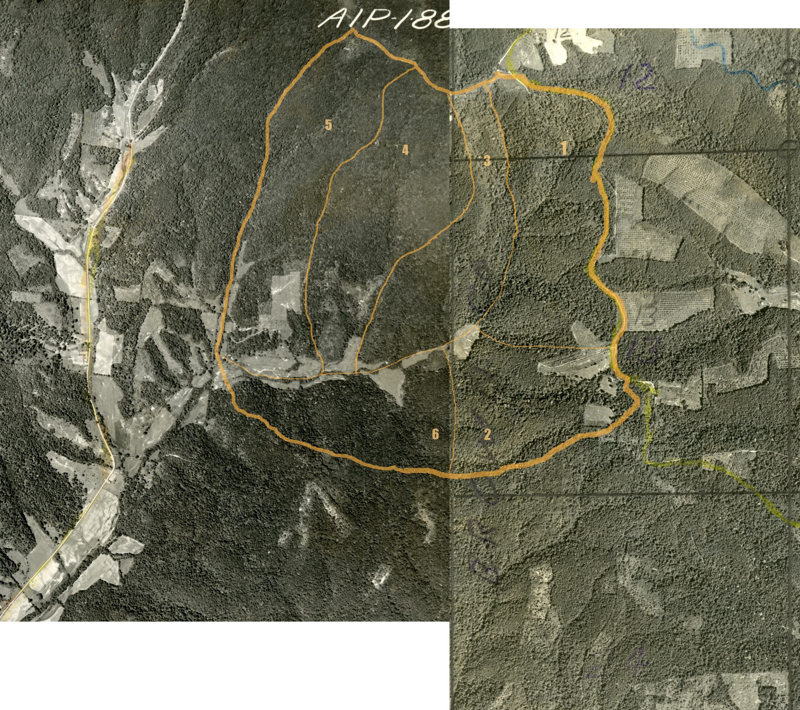 Aerial shot of Yellowwood and Morgan-Monroe State Forests from 1939 with EcoBlitz outlines added.