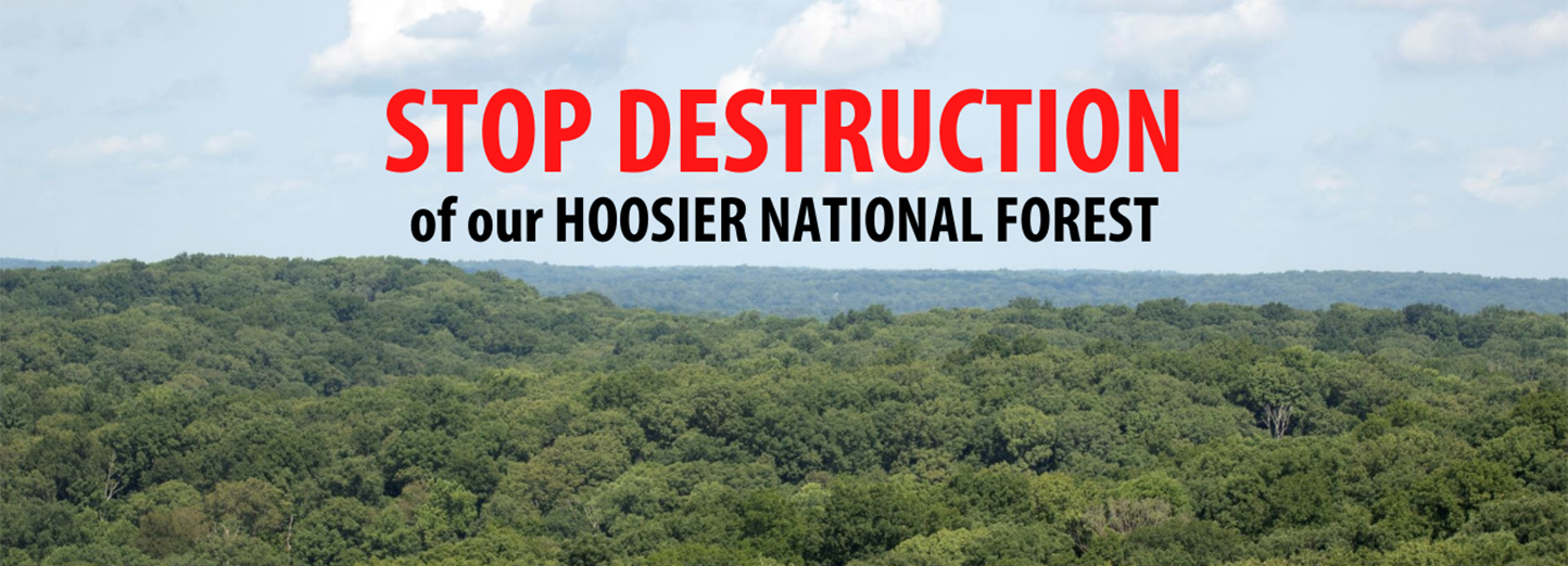 Campaign to Stop Destruction of Hoosier National Forest.