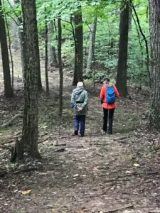 Hikers walking a trail in the forest.
