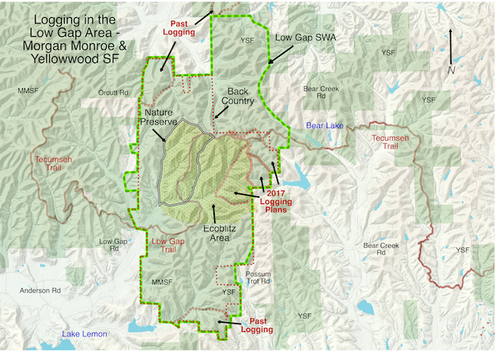 Map of logging in the Low Gap Area of Morgan-Monroe and Yellowwood State Forests.