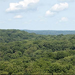 View of Hoosier National Forest.