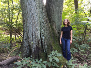 Anne Laker stands in front of a massive northern red oak in the North Woods at Crown Hill Cemetery. Photo credit: Jeff Stant.