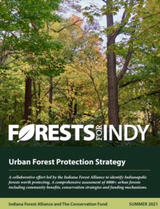 Forests For Indy