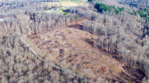 Hoosier National Forest clearcut logging 2