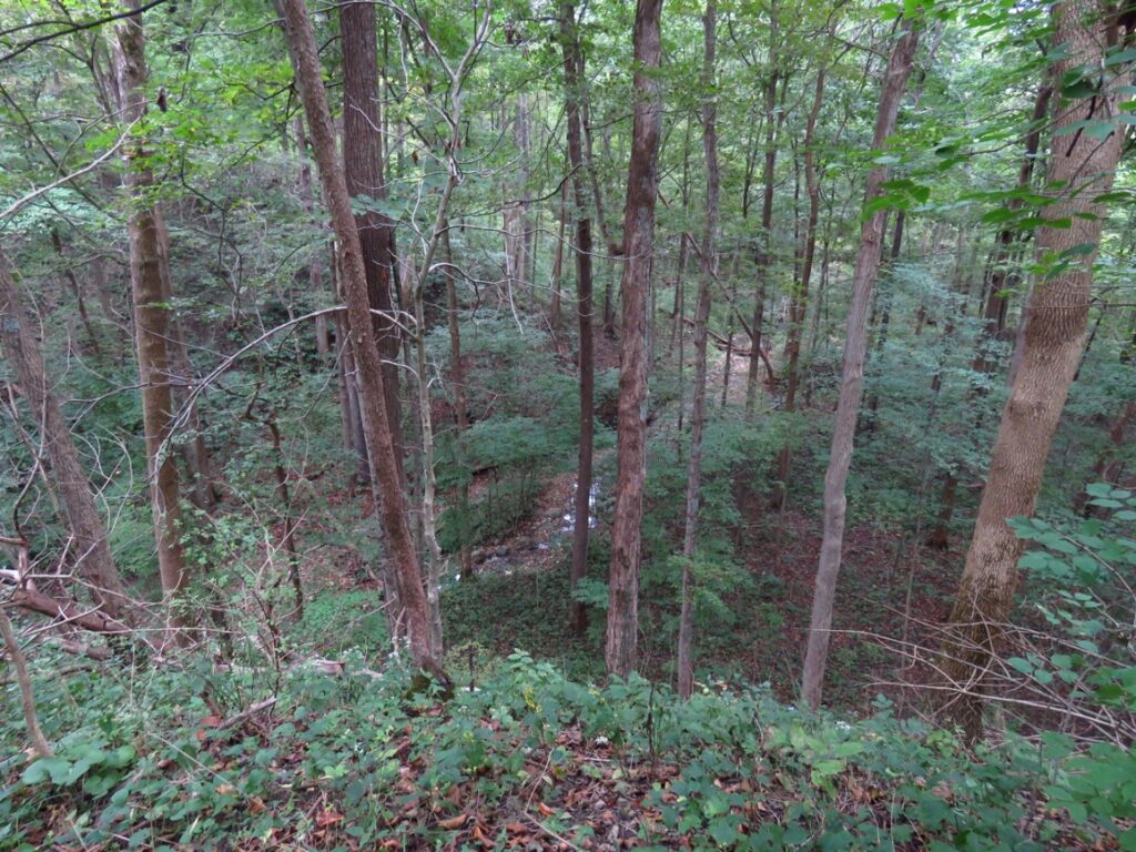 Salamonie Hillside