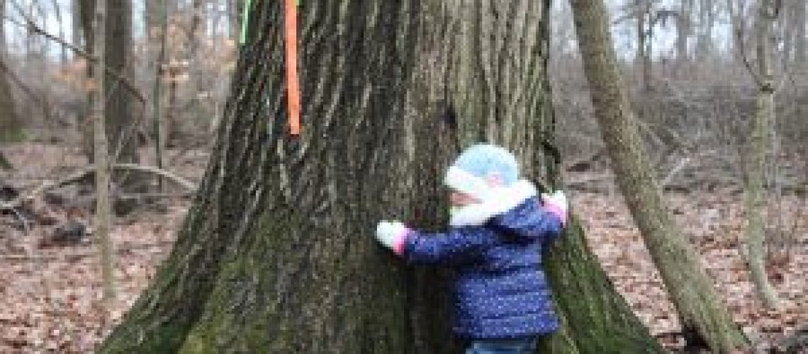 Little Child Hugging a Tree in Crown Hill Woods.